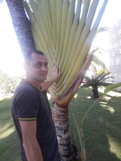  ,   , 47 ,   ,   , c 