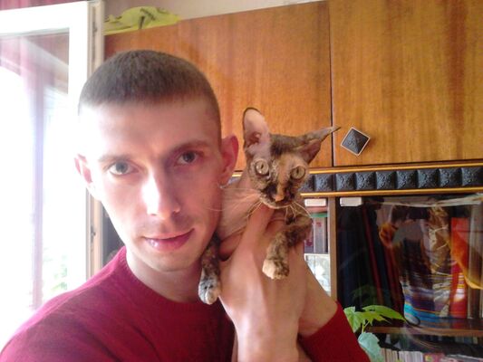  ,   ϸ, 39 ,   ,   , c , 