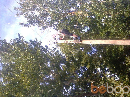 ���������� ��������, ���� ������� ���������, 41 ���, ������������ ��� ������