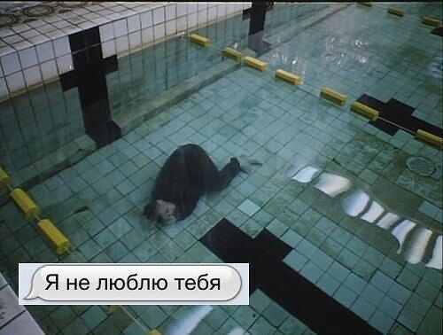  5803681  , 44 ,    
