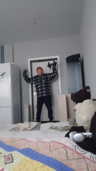   ,   , 43 ,   ,   