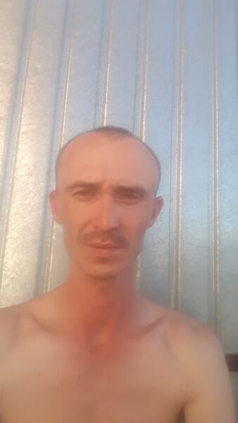  ,   , 31 ,   c , 