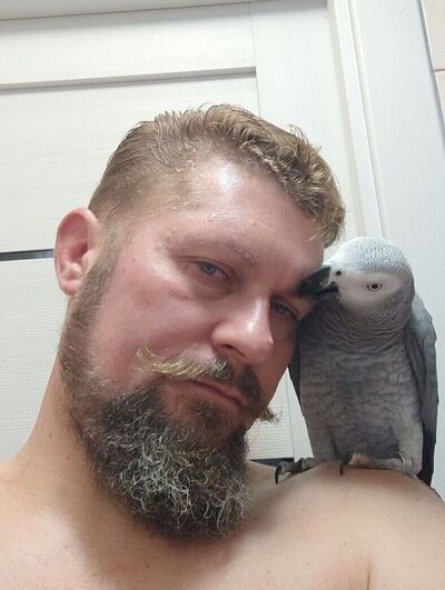  ,   , 43 ,   ,   , 