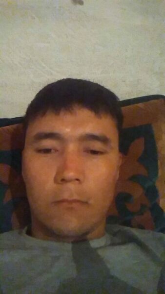  ,   Shake, 34 ,   ,   , c 