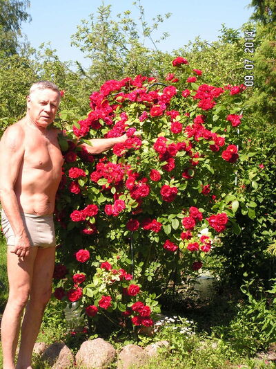  -,   , 67 ,   