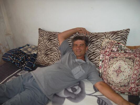  ,   , 51 ,   