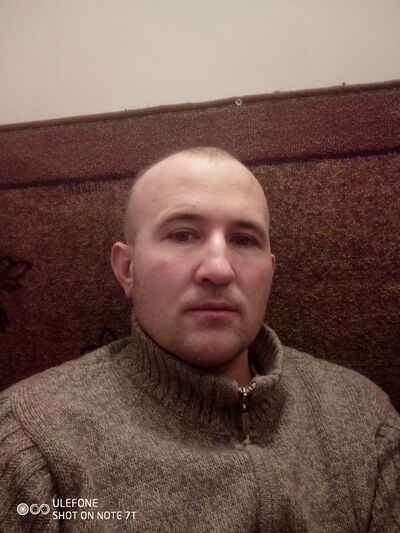  ,   Vi, 41 ,   ,   