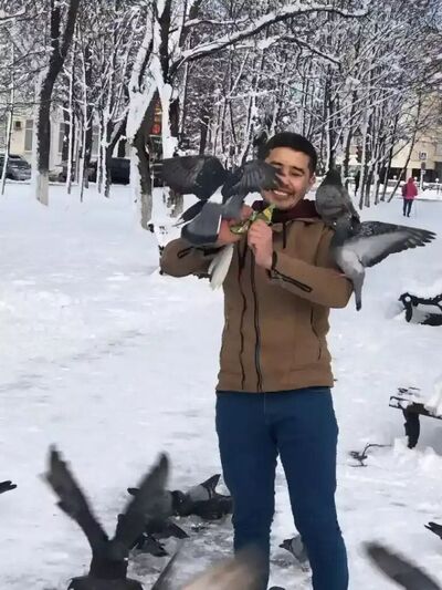  ,   Sohbet, 33 ,   ,   