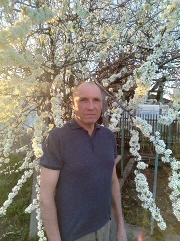  ,   , 62 ,   ,   