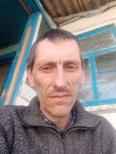  --,   Nik, 37 ,   ,   