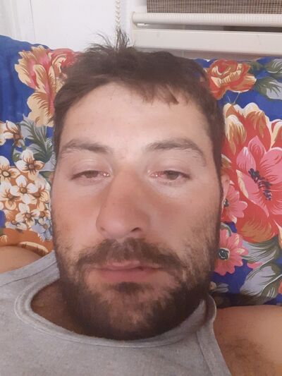  ,   Masis, 31 ,   ,   , c 