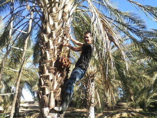  ,   Nizar, 39 ,   ,   , c 