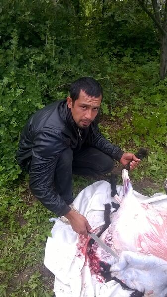  ,   Dinis, 31 ,   ,   , c , 