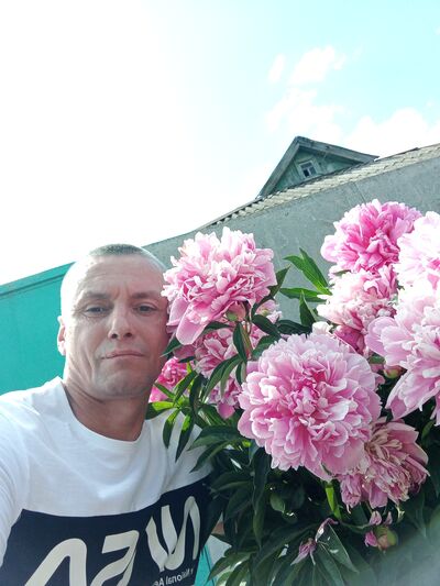  ,   , 46 ,     , c , 