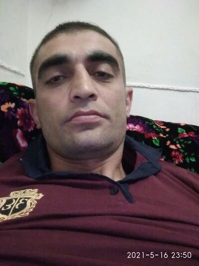  -,   Dilfin, 34 ,   ,   