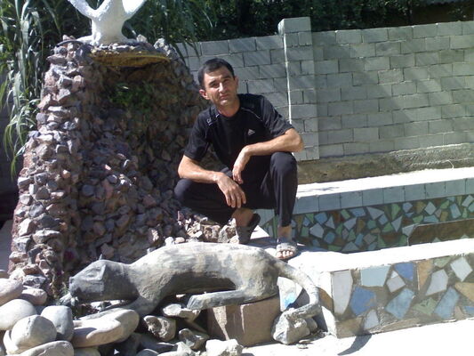  ,   Dizayn, 44 ,   