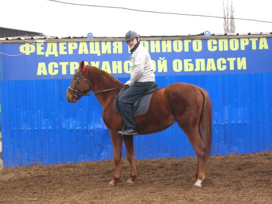  Novy,   , 63 ,   ,   