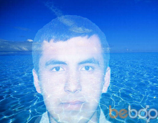  1550261  Muza, 41 ,    
