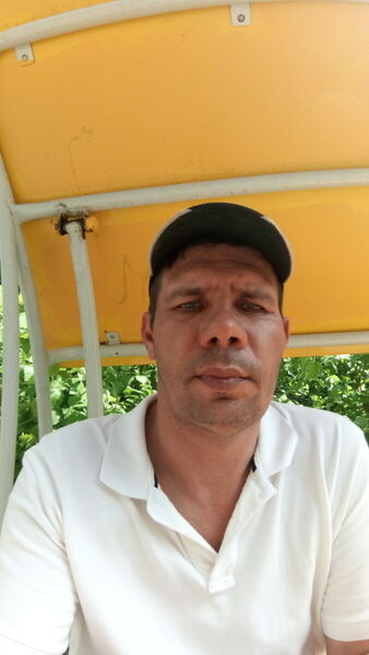  ,   , 52 ,   ,   , c , 