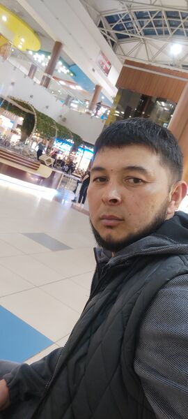  --,   , 37 ,   ,   