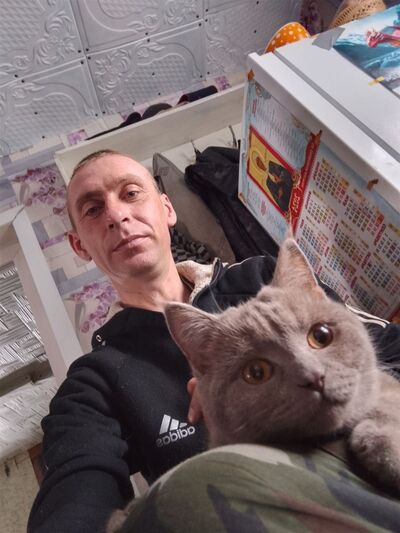  ,   , 35 ,   ,   