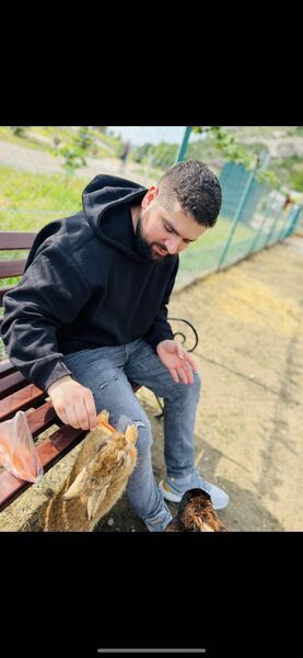  ,   Adam, 31 ,   ,   