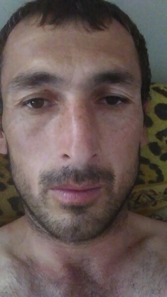  ,   Volkvolk, 41 ,   