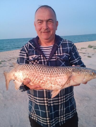  ,   , 53 ,   ,   