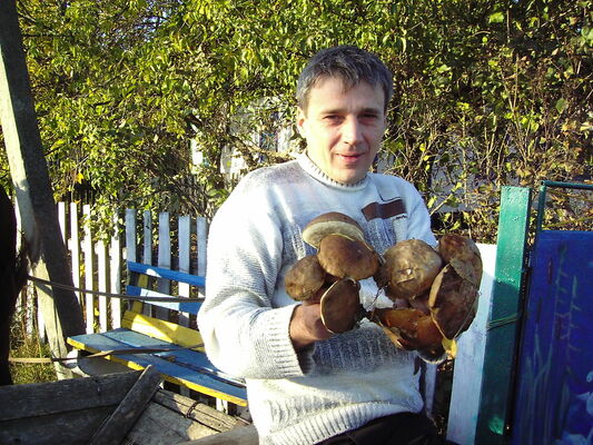  ,   , 60 ,   ,   , c 