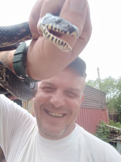  ,   , 43 ,   ,   