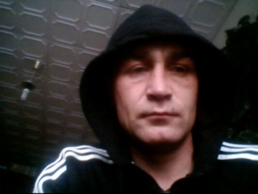 ,   , 41 ,   