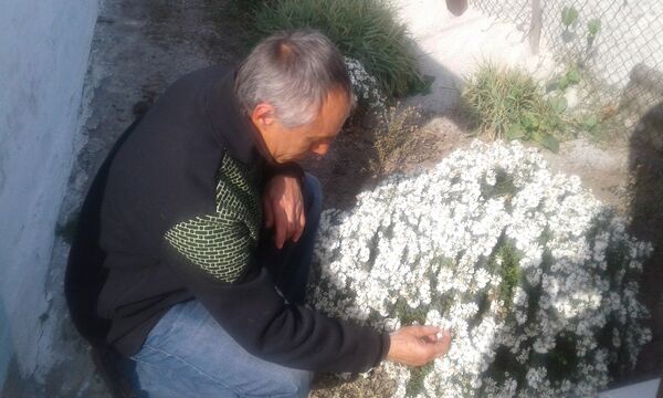  ,   Zenchik, 51 ,   ,   , c 