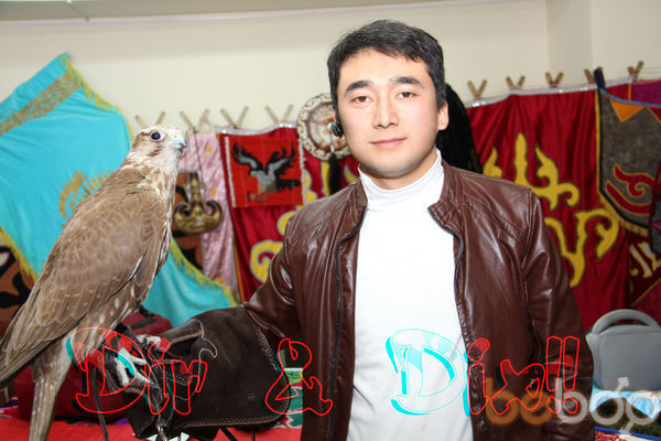  3137401  Damir, 38 ,    