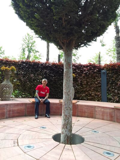  ,   , 65 ,   ,   