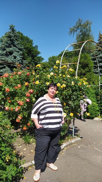  ,   , 54 ,   ,   