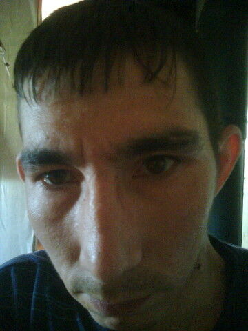  7498161  , 38 ,    