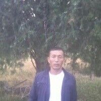  ,   , 41 ,   