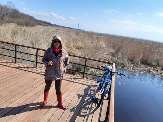  -,   Irena, 55 ,     , c 