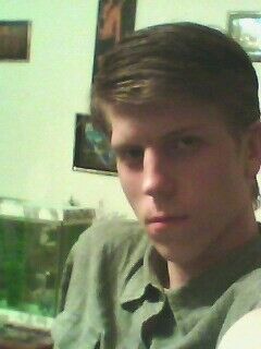  -,   , 33 ,   