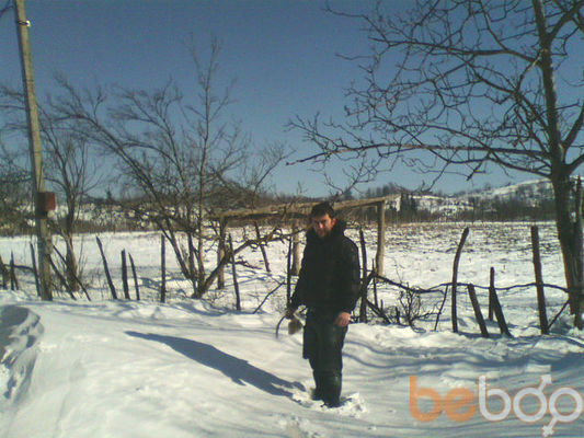 ���������� �������, ���� ������� David, 40 ���, ������������ ��� ������, ����� � ���������, c�������� ���������