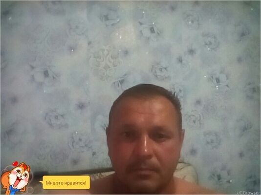  ,   , 51 ,   