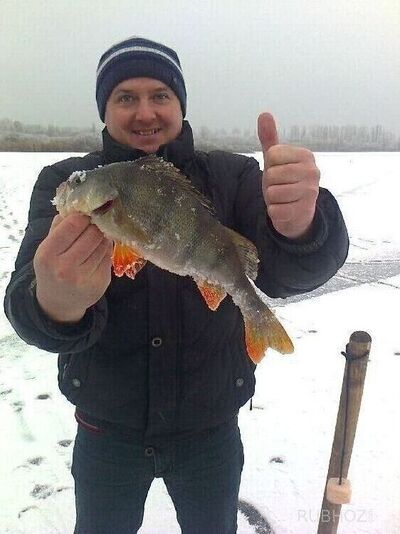 ���������� �������, ���� ������� ��������, 30 ���, ������������ ��� ������, ����� � ���������, c�������� ���������