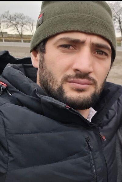  ,   Bear, 32 ,   ,   