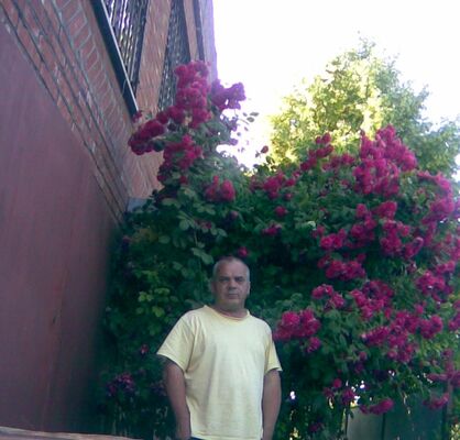  --,   , 63 ,   