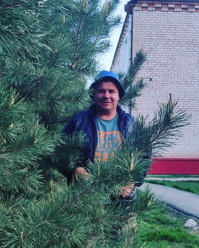  ,   Sergius, 40 ,   ,   