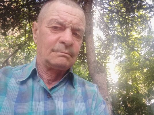  ,   , 62 ,   ,   
