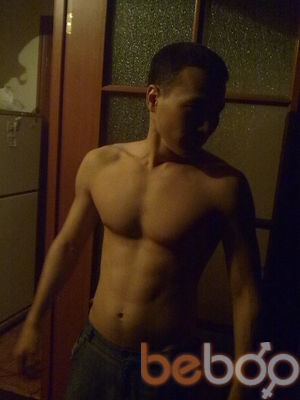 ���������� ������, ���� ������� Shmele, 38 ���, ������������ ��� ������