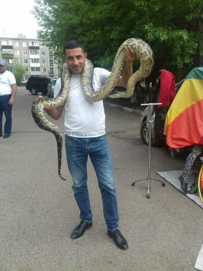  ,   Ovik, 40 ,   ,   