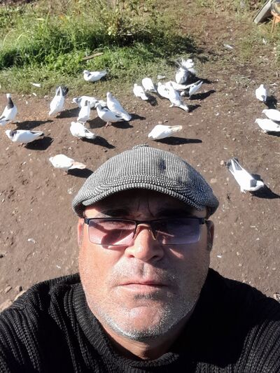  ,     , 44 ,   ,   
