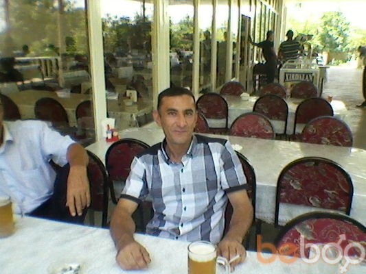  ,   Shahin, 50 ,   